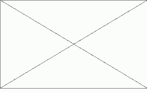 082610_1239_Cientficost1.png