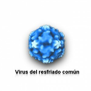 Resfriado Comun